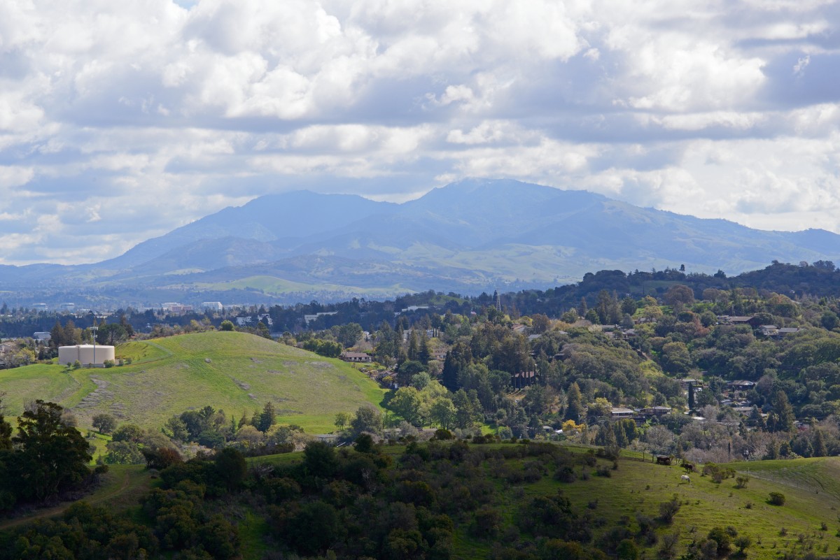 Concord