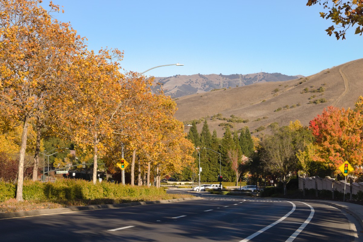 Moraga