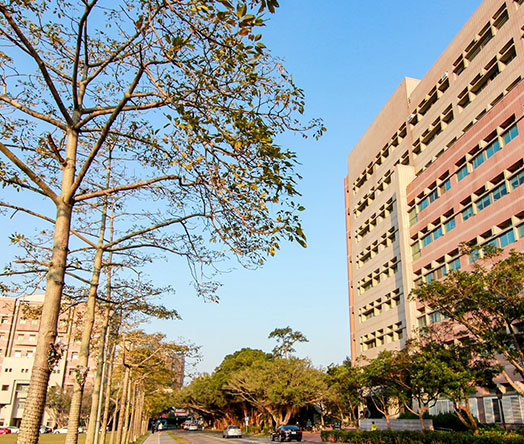 Exceptional Schools The Heart of Danville