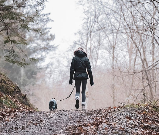 Exceptional Schools The Heart of Danville