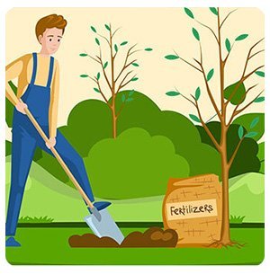 Curb Appeal Projects