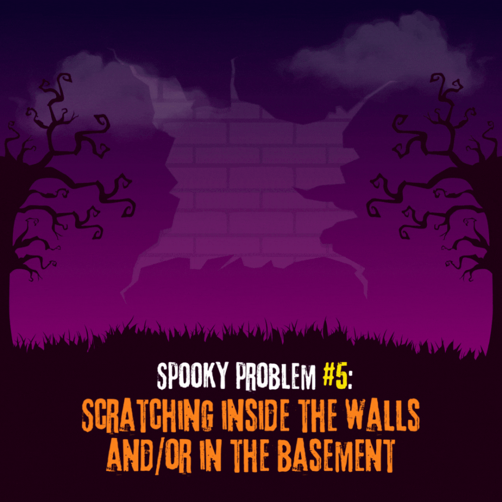 Think Your House Is Haunted